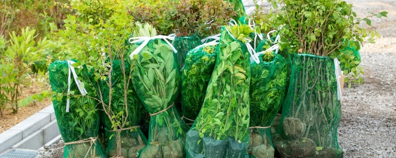 TRANSPORTATION OF AGRICULTURAL CROPS AND NURSERY PLANTS/SEEDLINGS