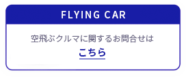 FLYING CAR